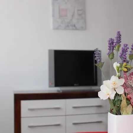 아파트 Maja 스플리트